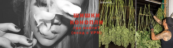 крисы Вязники