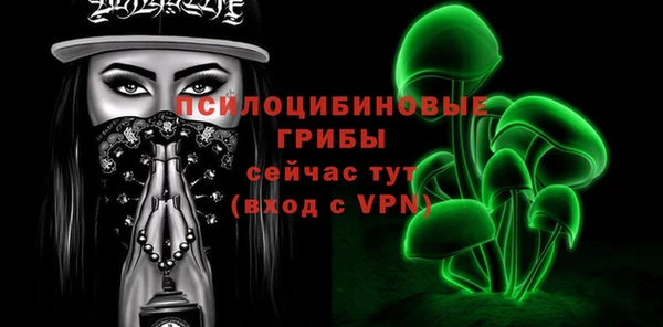 крисы Вязники