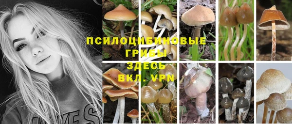 Альфа ПВП Вяземский
