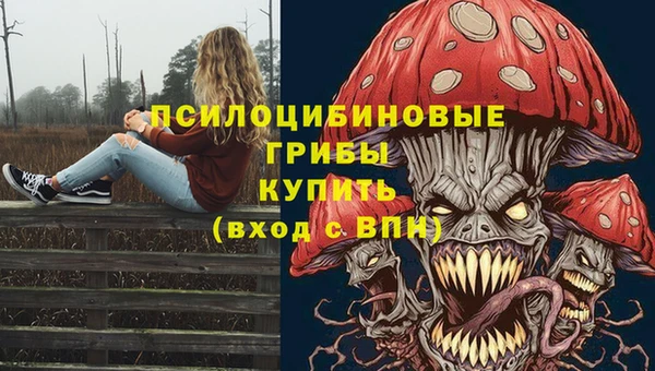крисы Вязники