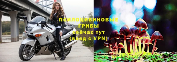 Альфа ПВП Вяземский