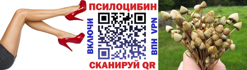 даркнет какой сайт  Афипский  Галлюциногенные грибы Psilocybe 